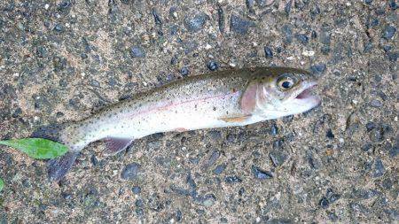 名阪森林パーク