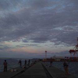 ジギングで青物