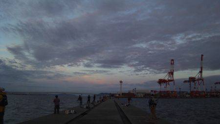 ジギングで青物