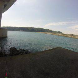 キャスティングぼうずにてエギでお土産釣り