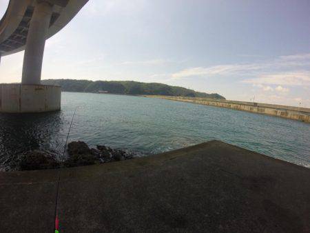 キャスティングぼうずにてエギでお土産釣り