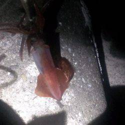 一時間１本勝負！！