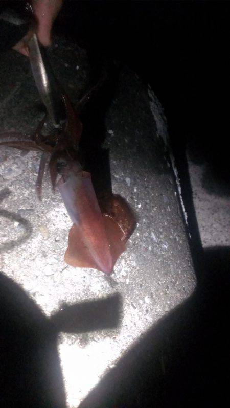 一時間１本勝負！！