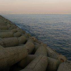 台風前にサゴシ