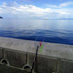 アジ回ってきてるんですが・・・