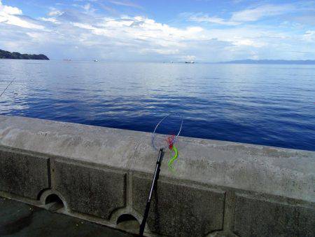 アジ回ってきてるんですが・・・