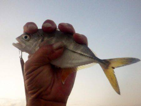 メッキ調査その２