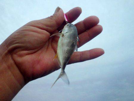 初の場所でメッキ調査