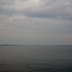 夕方恒例 メッキ調査