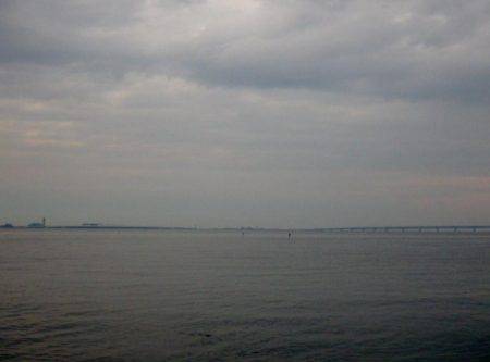 夕方恒例 メッキ調査