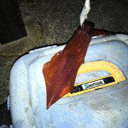 アジュール舞子は大混雑