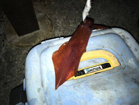 アジュール舞子は大混雑