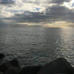 ショアライトジギング