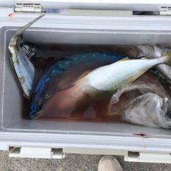 ショアジギング