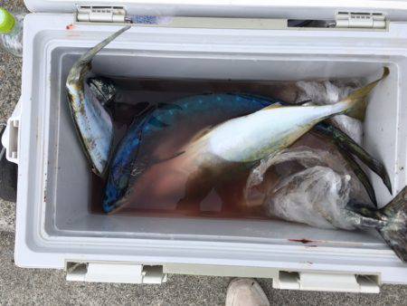 ショアジギング