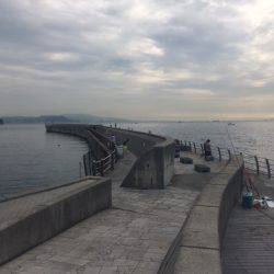 ショアジギング