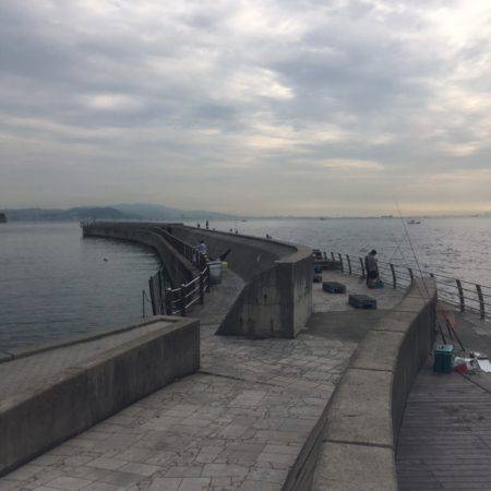 ショアジギング