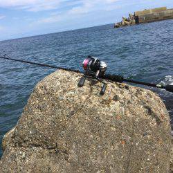 エギング日本海釣行