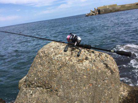 エギング日本海釣行
