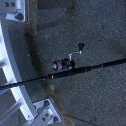 バイブレーションでタチウオ