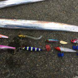 ボラジャンプ！　と思ったら。。。