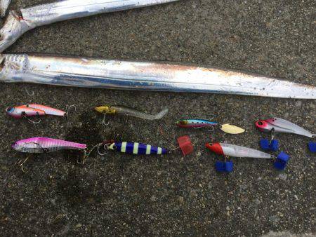 ボラジャンプ！　と思ったら。。。