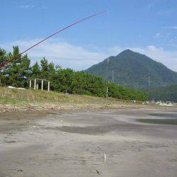 投げ釣りシロギス