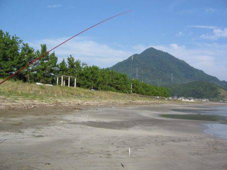 投げ釣りシロギス