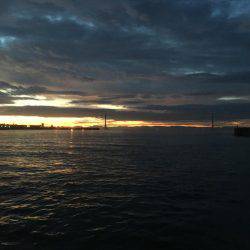 厳しいエギング