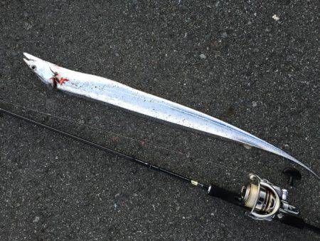 ライトライトライト