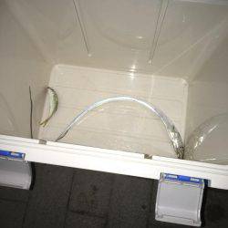 初ワインドタチウオ