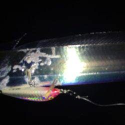 連日連夜絶好調٩(^‿^)۶