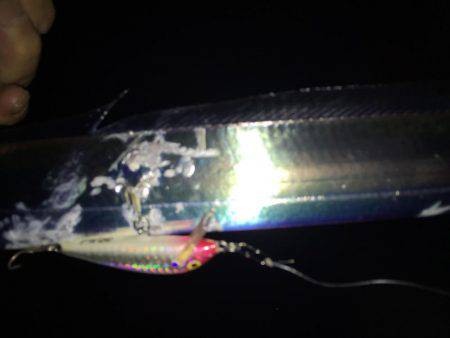 連日連夜絶好調٩(^‿^)۶