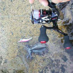 山陰海岸ジオパークにて