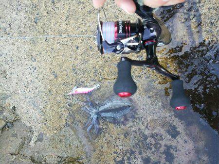 山陰海岸ジオパークにて