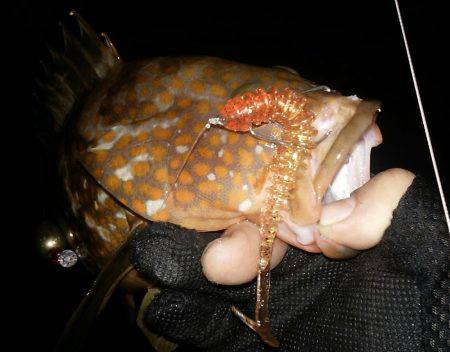 仕事前の朝練で三目キャッチ