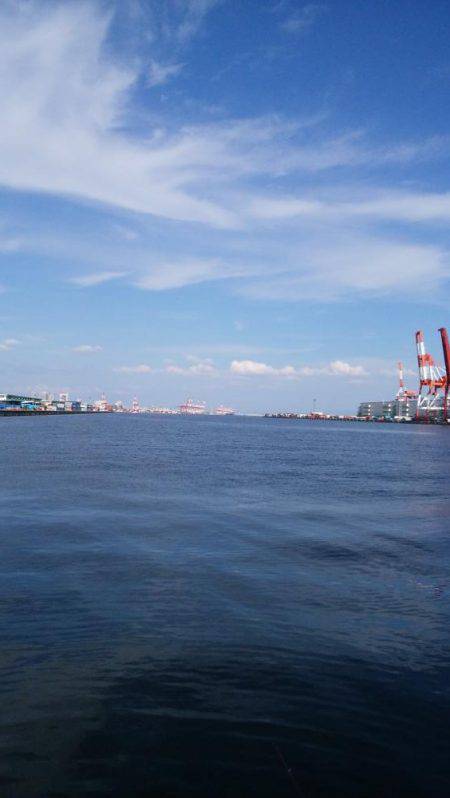 ポートアイランド、空港調査