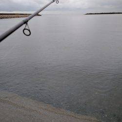 小雨の中、キッシング