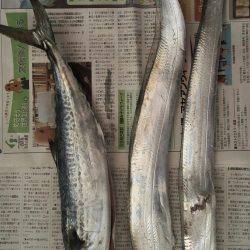 初めてのルアー釣り