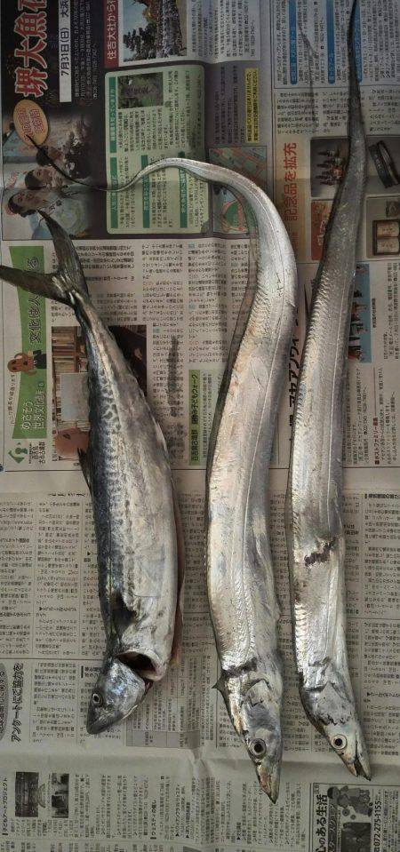 初めてのルアー釣り