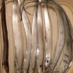 渋い原因は。。。