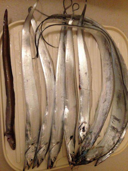 渋い原因は。。。