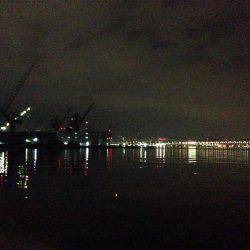 初めて釣った「シログチ」