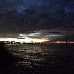 エギングでタチウオ