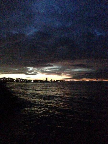 エギングでタチウオ