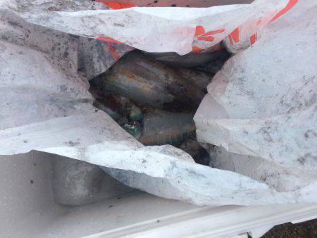 ボートエギングがダメになり陸っぱりエギングへ