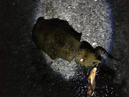 渋くもなく好調でもなく