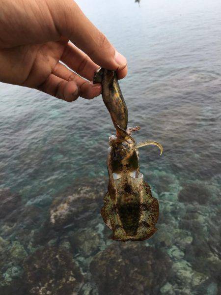 サーフエギング