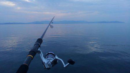 LSJでカマスGET！