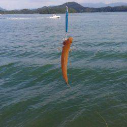 エソしか釣れへん